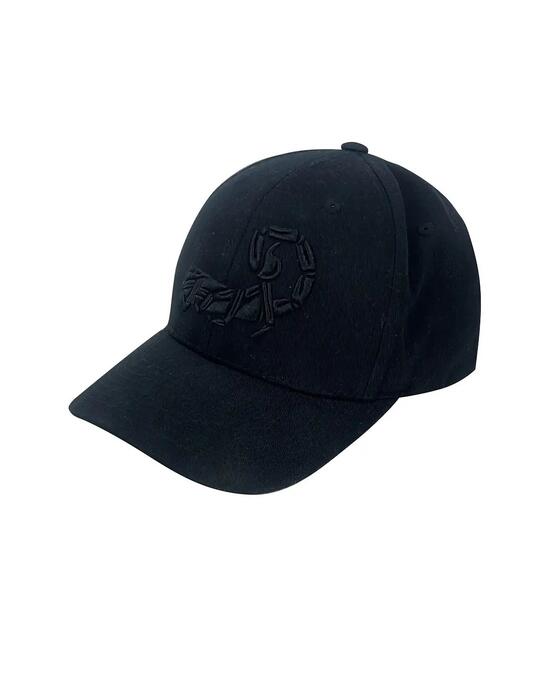 Scorpion Logo Hat Black