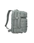 US Assault Pack S Foliage