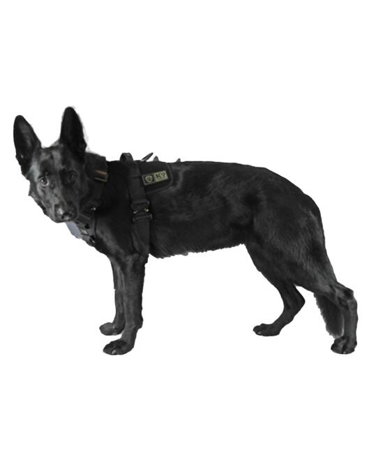 Delta Harness Black