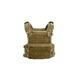 Coyote Brown