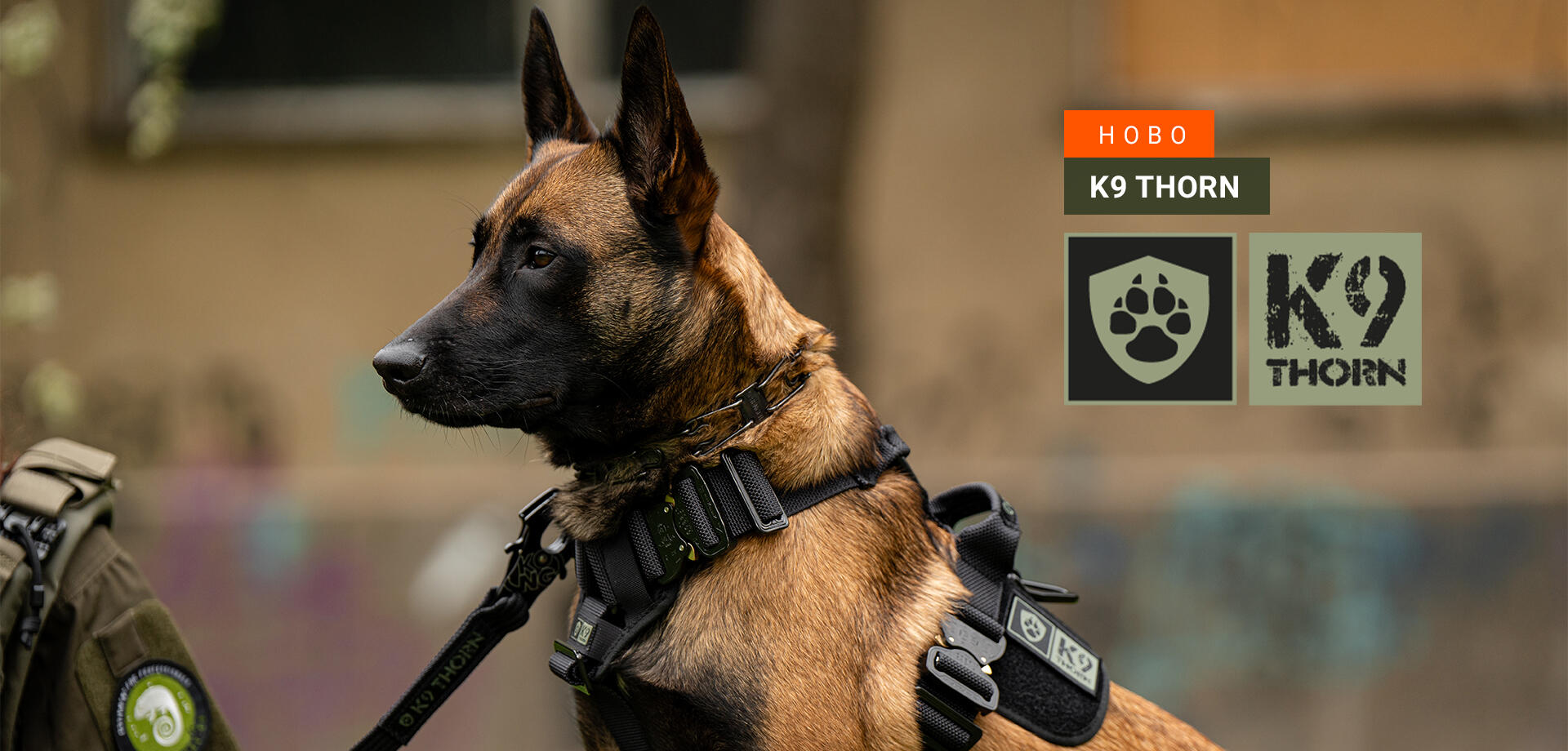 k9 thorn 