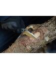 Beagle Knife