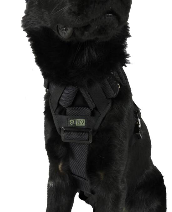 Delta Harness Black