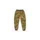 Multicam