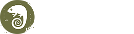 Camouflage.bg